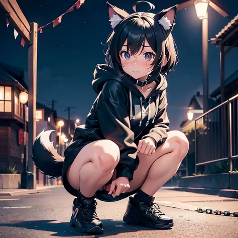 night park, dog ears dog tail , young appearance,  anime beautiful girl, completely naked hoodie with front opening, rough rope ...