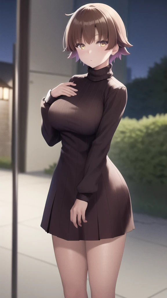 masterpiece, best quality, highres, girl, kiyotaka ayanokoji, large breasts, sweater dress, long sleeves, turtleneck, outdoors, street, standing, cowboy shot, night