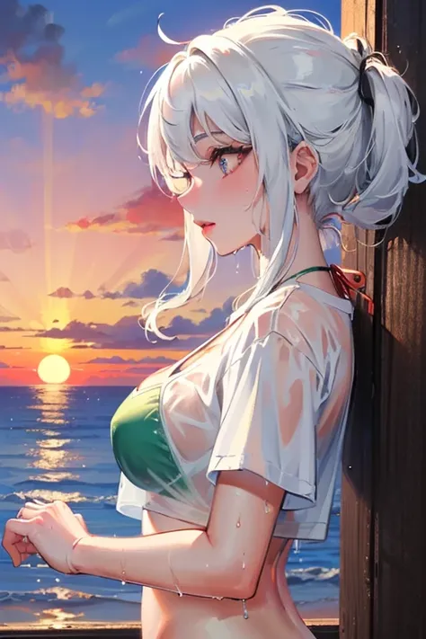 (( Best quality )), ((masterpiece)), (Detailed),(4k), 1 girl, ((with a green bikini )), ((wet white t-shirt)), ((white hair)), ((red eyes)), ((beautiful eyes)), (( large breasts)), ((Landscape of a sunset)), ((21 years old)), (( watching the spectator )), ...