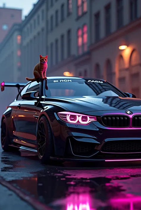 Very beautiful black BMW with neon lights with beautiful body kits and a little cat sitting on it or next to the car 