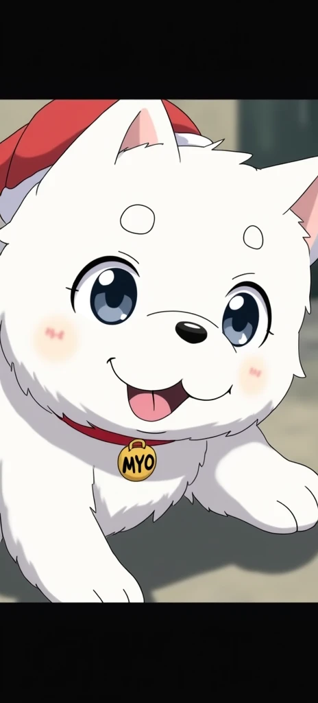  fluffy white Japanese dog 。The eyes are black and blue and round。Eyebrows、Black 。Anime-like。 wearing a plate with the letters MYO on a red collar 。 Christmas cosplay 。