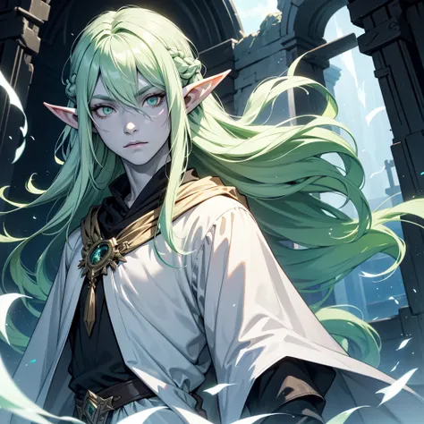 1 man elf, long hair, light green hair, darkness cloak, silver eyes, bluish-white skin