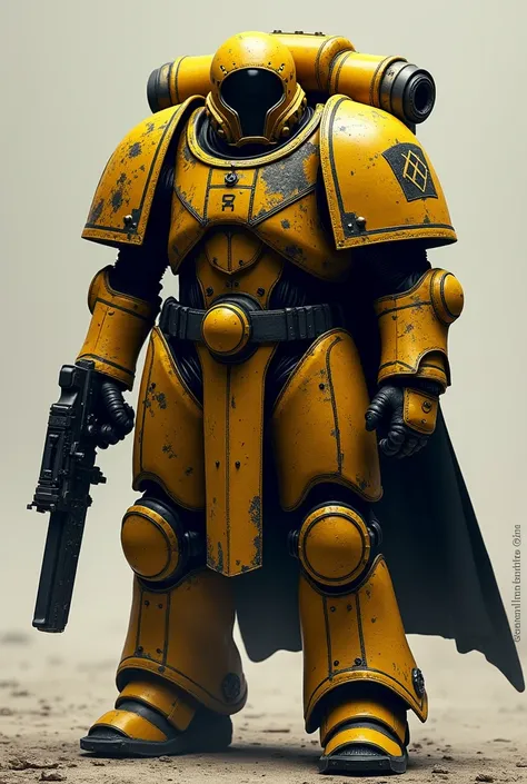  Appearance

The Immaculates of Vigran are impressive, even among other Astartes . His armor, traditionally yellow and black ,  has a severe and worn appearance .  They have adopted dark camouflage patterns in their armor ,  with worn but visible emblems ....