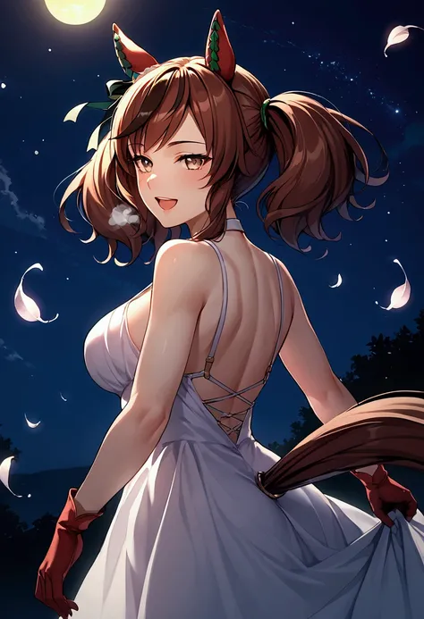 score_9, score_8_up, score_7_up , source_anime, masterpiece, best quality, perfect anatomy, very aesthetic, absurdres,game cg,anime detail BREAK dont_close_your_eyes_now, 1girl, solo, brown hair, gloves, dress, animal ears, twintails, brown eyes,tail, medi...