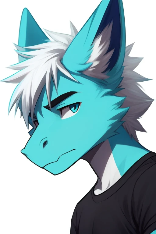 male, dragon, straight face, anthropomorphic, cyan and blue fur, cyan and white fluffy ears, black t shirt, white hair, white background, high quality