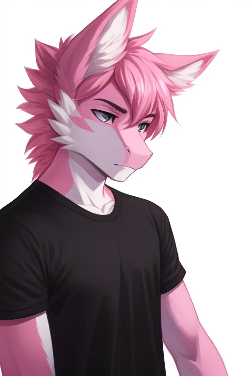 male, dragon, straight face, anthropomorphic, pink and white fur, pink and pink fluffy ears, black t shirt, pink hair, white background, high quality