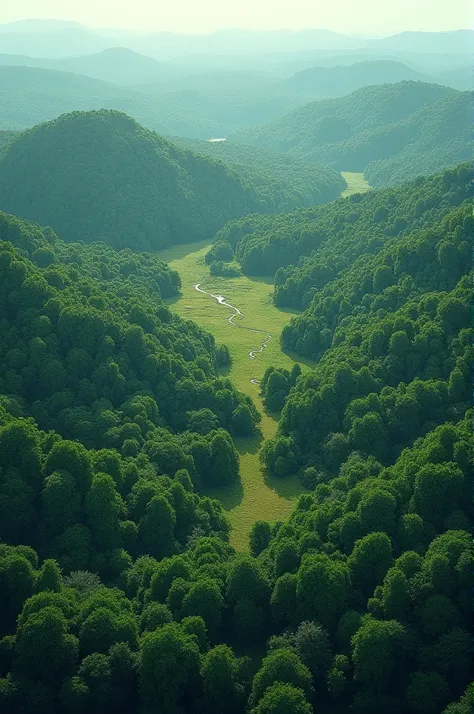 An A1-size image with a flat top view from far away of an irregular forest with more covered areas and other more deforested areas 