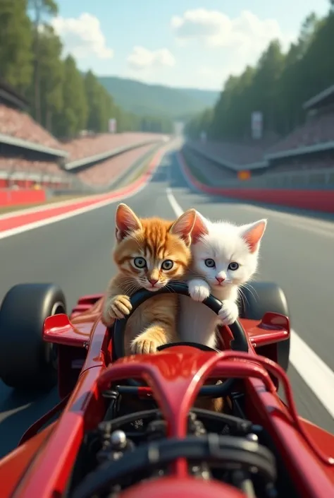  the cutest brown tiger pattern kitten in the world racing in an F1 car and the cutest white kitten in the world、((Realistic:1.3))、Circuit、Impressive composition 