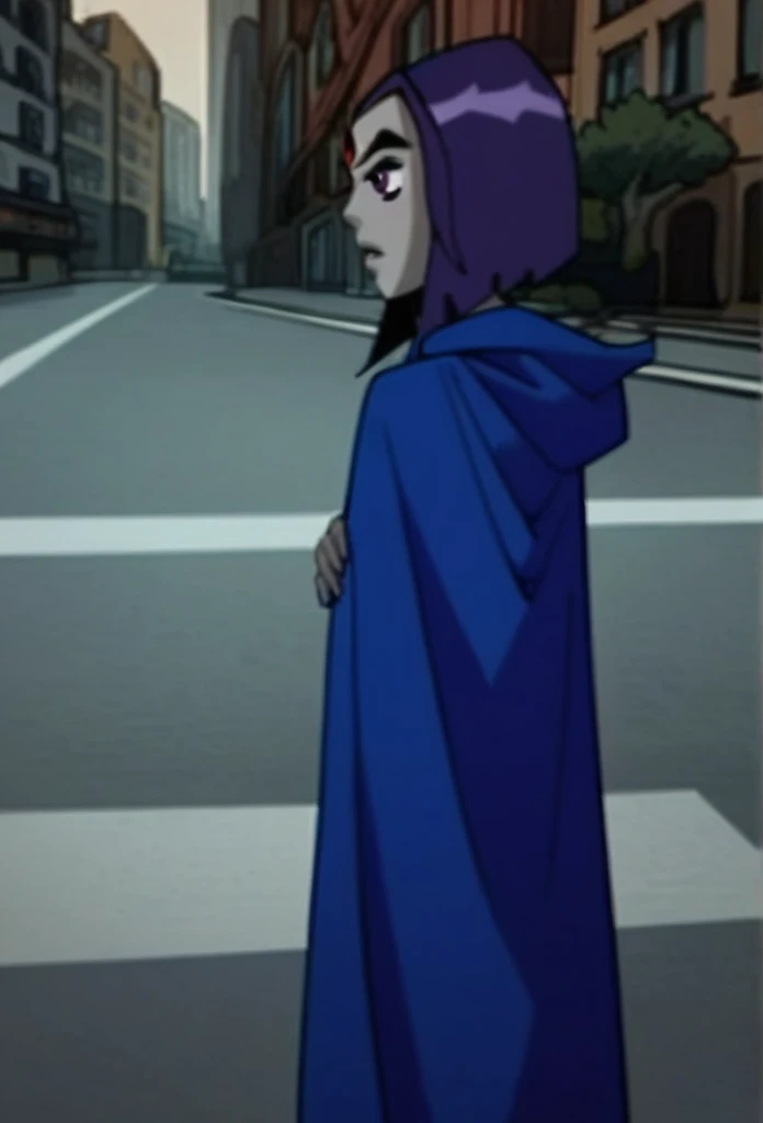 1girl, solo, raven (dc), purple eyes,  purple hair, grey skin, forehead jewel, blue cape covering whole body, long blue cape, cape reaches the ground, standing, night, city, park, hood covered head