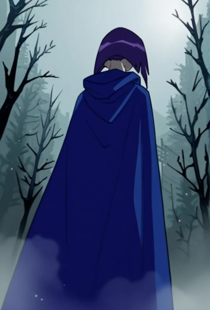 1girl, solo, raven (dc), purple eyes,  purple hair, grey skin, forehead jewel, blue cape covering whole body, long blue cape, cape reaches the ground, standing, fog, forest, city, hood covered head, from behind, from below