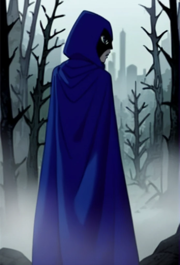 1girl, solo, raven (dc), purple eyes,  purple hair, grey skin, forehead jewel, blue cape covering whole body, long blue cape, cape reaches the ground, standing,, fog, forest, city, hood covered head, from behind, from underneath