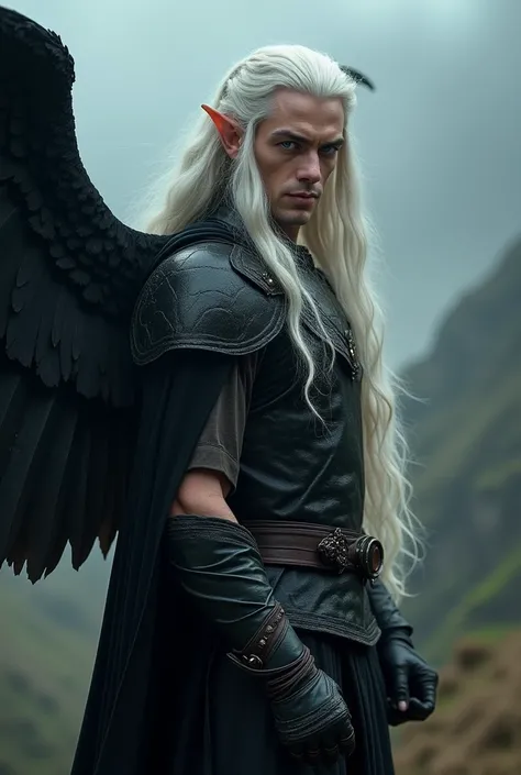 (Full person photo:1.3), (action packed:1.3), (mist:1.3), best quality, 1Elf, (masculine), (1287yo:1.2), Black Wings highly detailed, long silver hair highly detailed, 1700S, (masterpiece, sidelighting, finely detailed Fashionable eyes: 1.2) (perfect oval ...