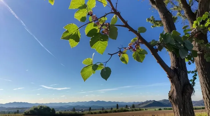 A close-up of a vine branch connected to the main trunk, with dewdrops sparkling under sunlight. The background shows fertile fields and distant mountains under a serene sky. Small budding grapes appear on the branch, symbolizing spiritual growth, while an...