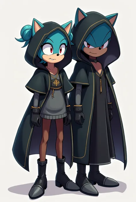 Sonic Ocs Vidro the hedgehog is a female hedgehog with light navy-blue skin and steel-blue hair tied in two large buns, along with having distinctive red eyes. Like her fellow Warriors in Black, she hides her identity with a hooded black fur coat-like cloa...