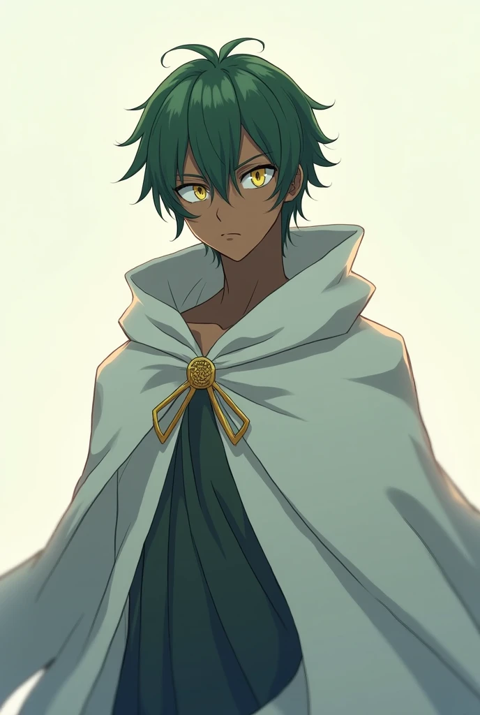  a 20-year-old male anime character, skin color black,  medium size green hair , light yellow eyes,  wearing a white cape covering her body , a look like a wise .