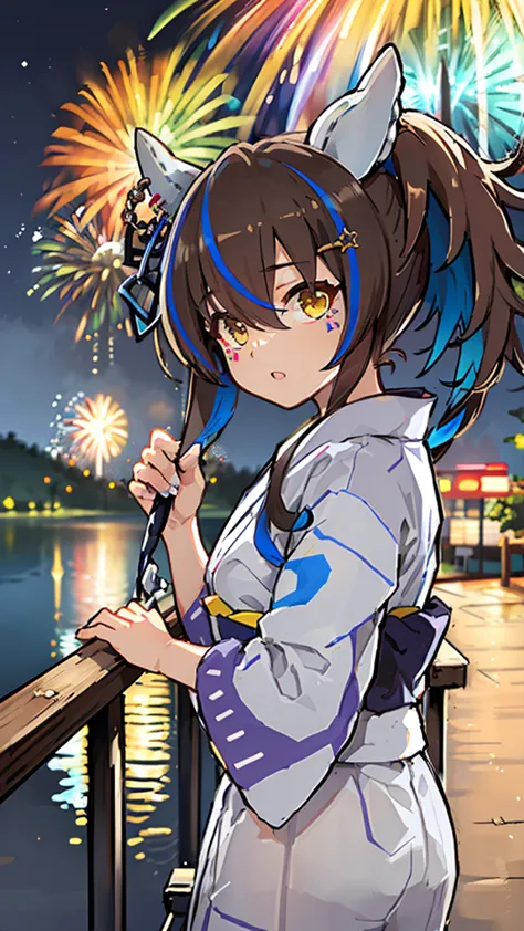 masterpiece,  best quality,  high definition ,  very detailed,((( Daitaku Helios ))), (((yukata))), (((Around town))), (((night))), (((firework))), (((handrail))), (((lake))), ((( sandy beach)))