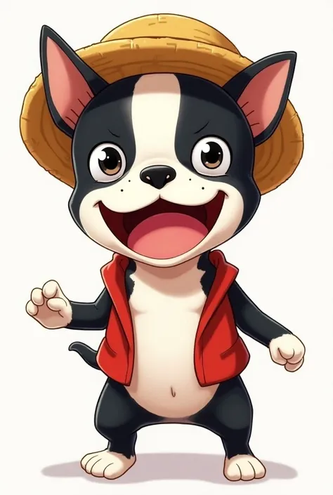  a very happy Boston terrier with his tongue sticking out in anime style wearing Luffys One Piece hat and vest、Naked、No hat