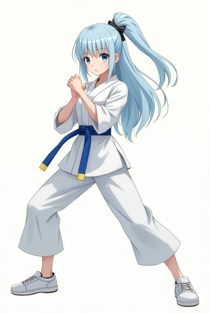 An anime picture of a Japanese fighter girl with long, soft, sky blue hair, white skin and blue eyes wearing a Japanese dress in karate mode
And youre wearing sports shoes