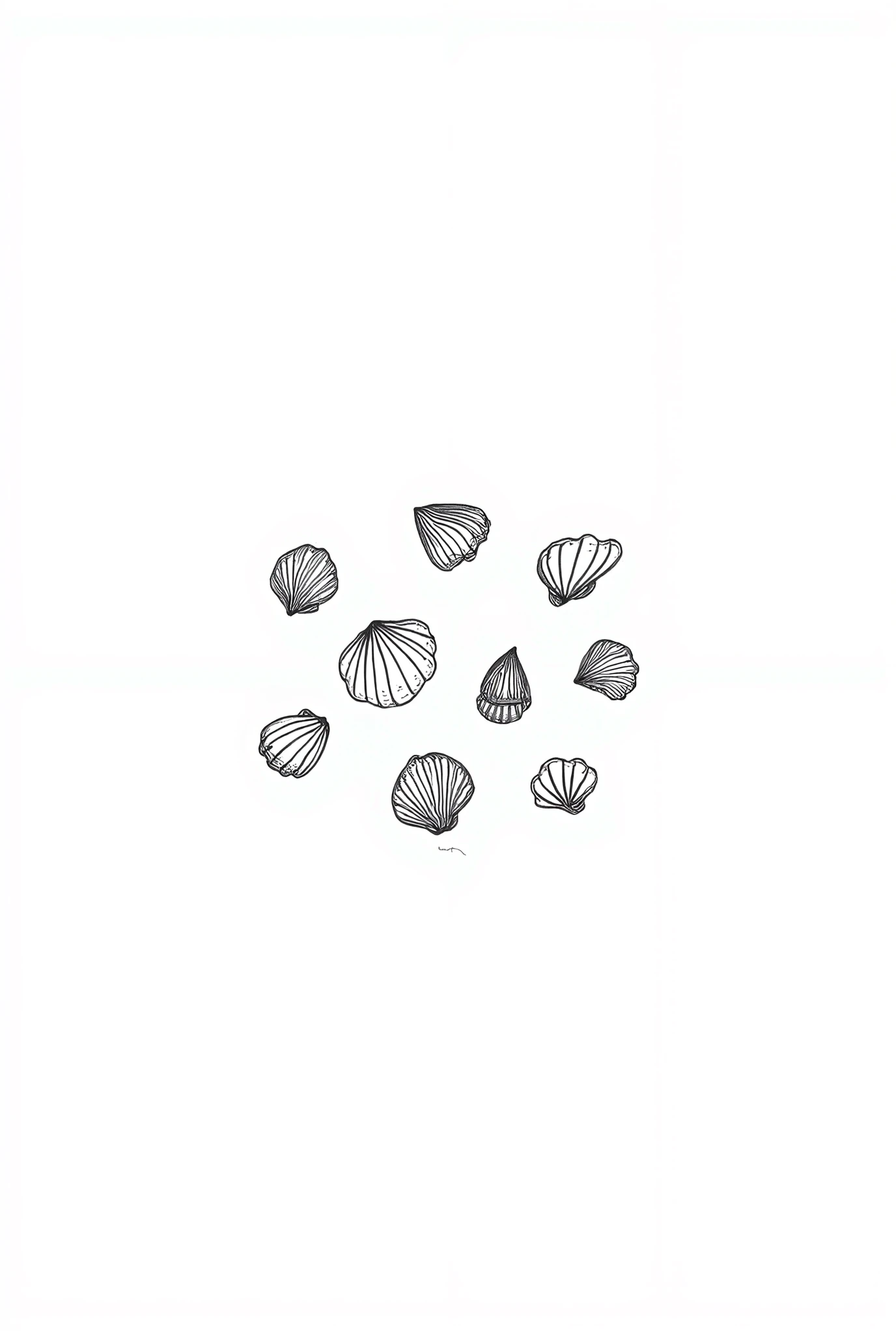 A black and white illustration of tiny seashells and pebbles, line art, white background, no shadow