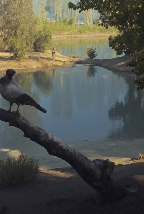 beautiful riverside atmosphere. A bird is seen perched on a fallen branch by the river. The rays of the sun make the surface of the water glisten.