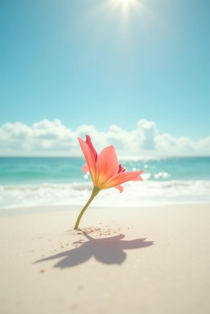 A flower falling on the beach is very beautiful