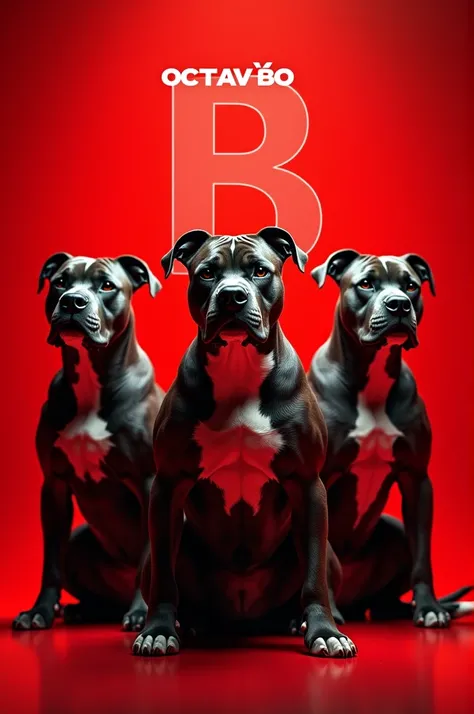 3 pitbulls with a red background with the name octavão B