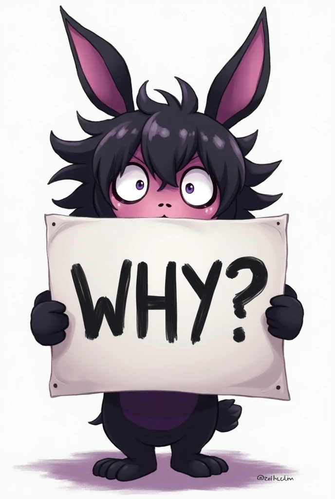 Kuromi with a sign that says why?