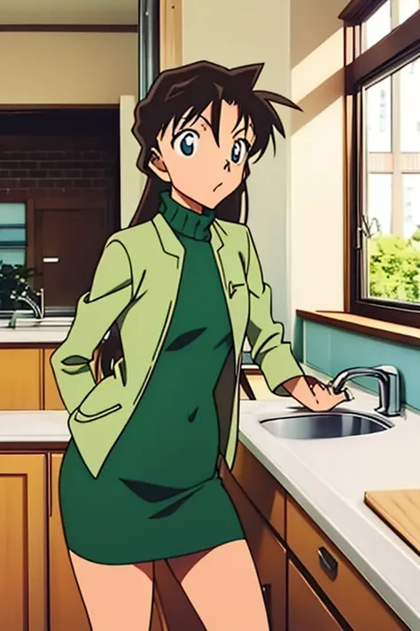 {{{mouri ran}}},{{{Detective Conan}}},{{{long hair}}},{{{official style}}},{{{adult}}},green dress,one-piece dress,turtleneck,green miniskirt, {light green cropped jacket},{light green cropped jacket},green socks,,sink,laundry,kitchen,bringing upper body t...