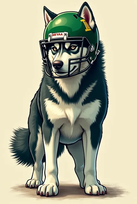 Husky Dog with a green NV Football Helmet