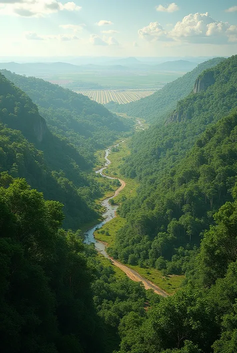 forests, Savannas and plantations.