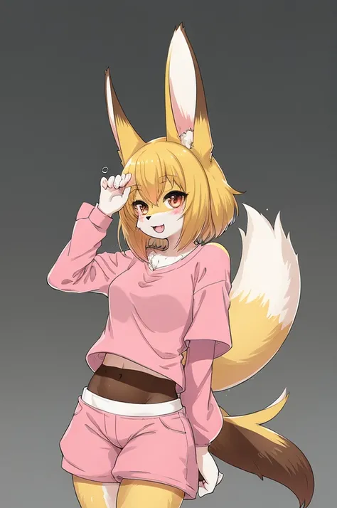  score_9,  score_8_up,  score_7_up,  score_6_up,  score_5_up,  score_4_up, sauce_Anime,  best quality,  amazing quality,  very sophisticated,  absurd, 1 female, ( fur on FL, kemono:1.3), rabbit, white_background, rining:safe, shorts,  1 girl, belly button,...