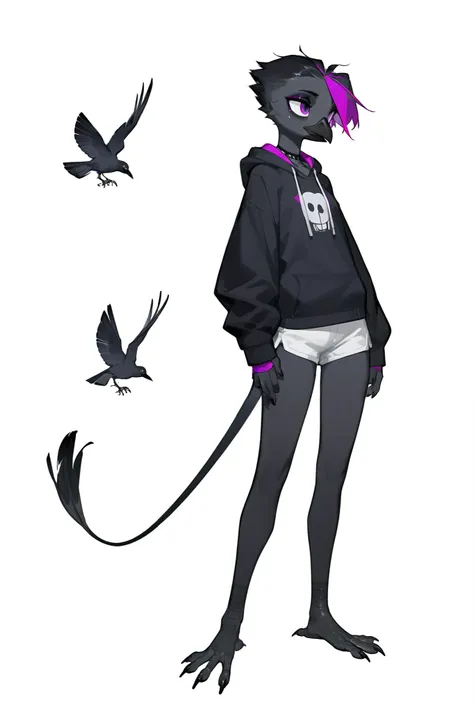 Score_9, score_8_up, score_7_up, flat colors,  an Anthro avian crow girl, female, small black beak, tall and slender, small crow tail, black body, standing, white background, purple eyes, short black emo hair, hands with five fingers, wearing  hoodie, whit...