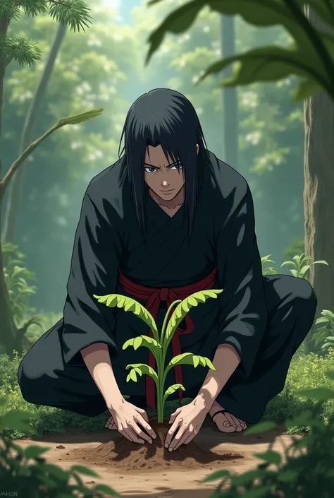 Madara planting a banana tree 