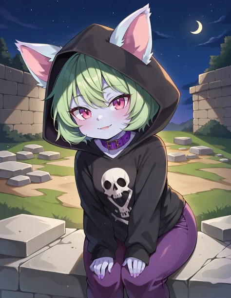 score_9, score_8_up, score_7_up, hkhorror, skull, VexLoLXL, yordle, shortstack, pink eyes, green hair, bangs, short hair, grey skin, colored skin, black hood, hood up, ears through headwear, white animal ears, black shirt, purple collar, golden ornament, l...