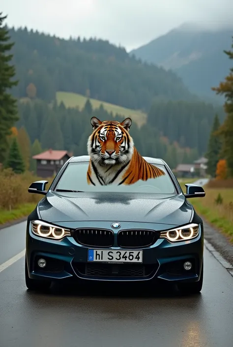 Bmw is stopped and its Syrian tiger is in Germany