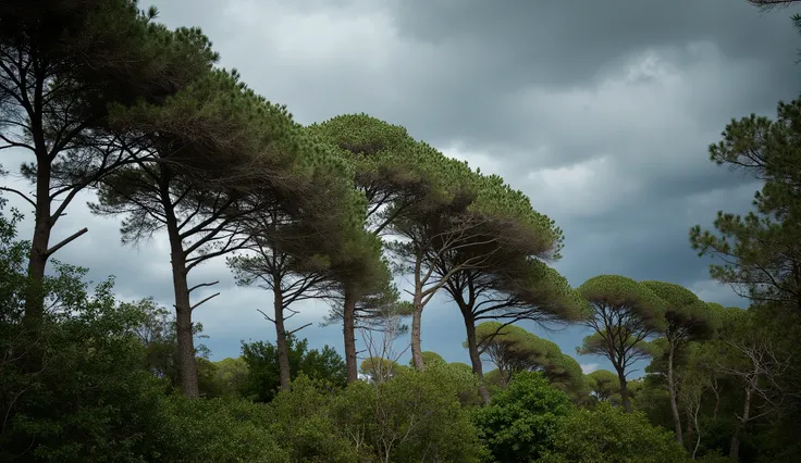 
"A natural forest scene with large trees being powerfully swayed by intense winds from a storm. The branches and leaves whip around violently, creating a dramatic and dynamic effect. The sky is dark gray, filled with thick storm clouds, while debris, such...