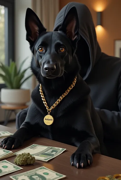 Create for me a realistic image of a black staff dog with little ears with a gold necklace with Antonin marked on the pendant of the necklace and in the background I want a man with a hood and a hood counting euro bills in a modern luxury villa with weed o...