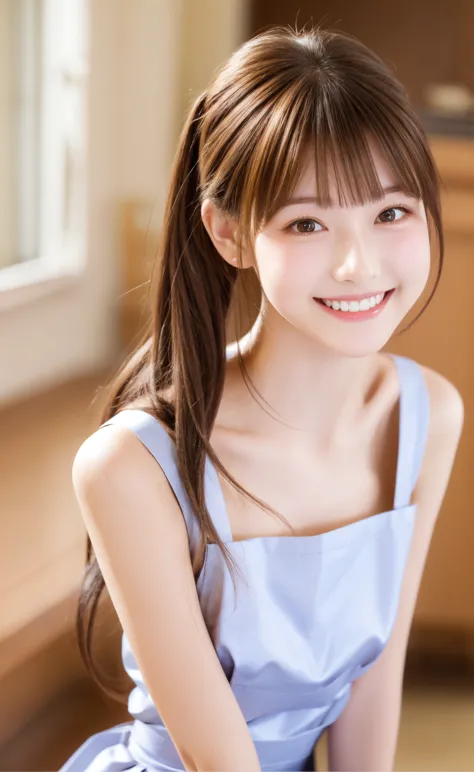 maid,cute pretty girl,masterpiece,high definition,4k,8k,16k,chignon hair,brown hair,skinny,thin body,smile