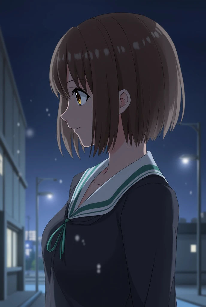 real,woman,beautiful,From the side,Embarrassed, bob cut from the front, short hair on the side of the uniform,Town,night,nightのTown, Light Shines In ,Town, lighting using airborne particles,Brown Hair,Brown Hair,Brown Hair,Collared blouse