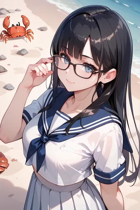 Black hair, long hair, glasses, sailor uniform, winter beach, girl confronting a giant crab