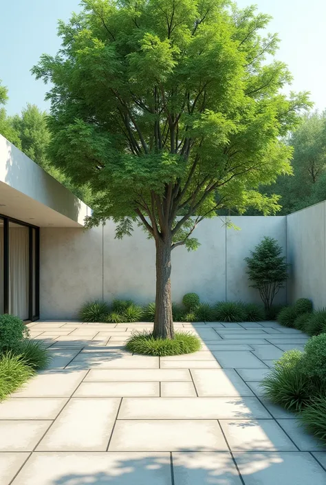 A patio with a tree in the center and white stones below 