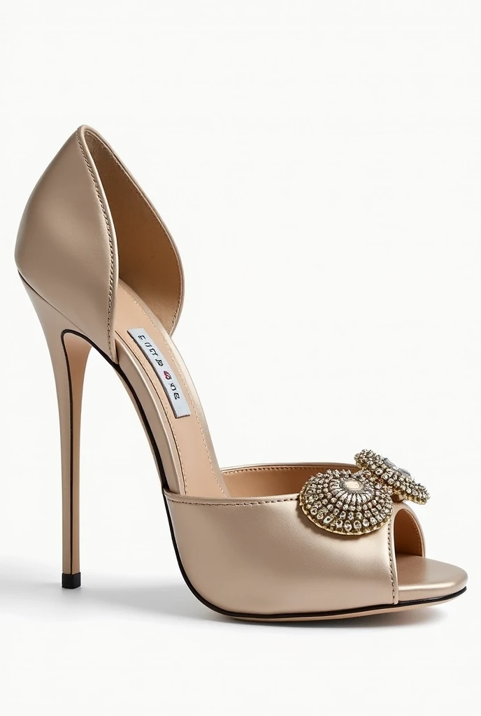 Design an elegant ,  salon-style womens shoe for evening events