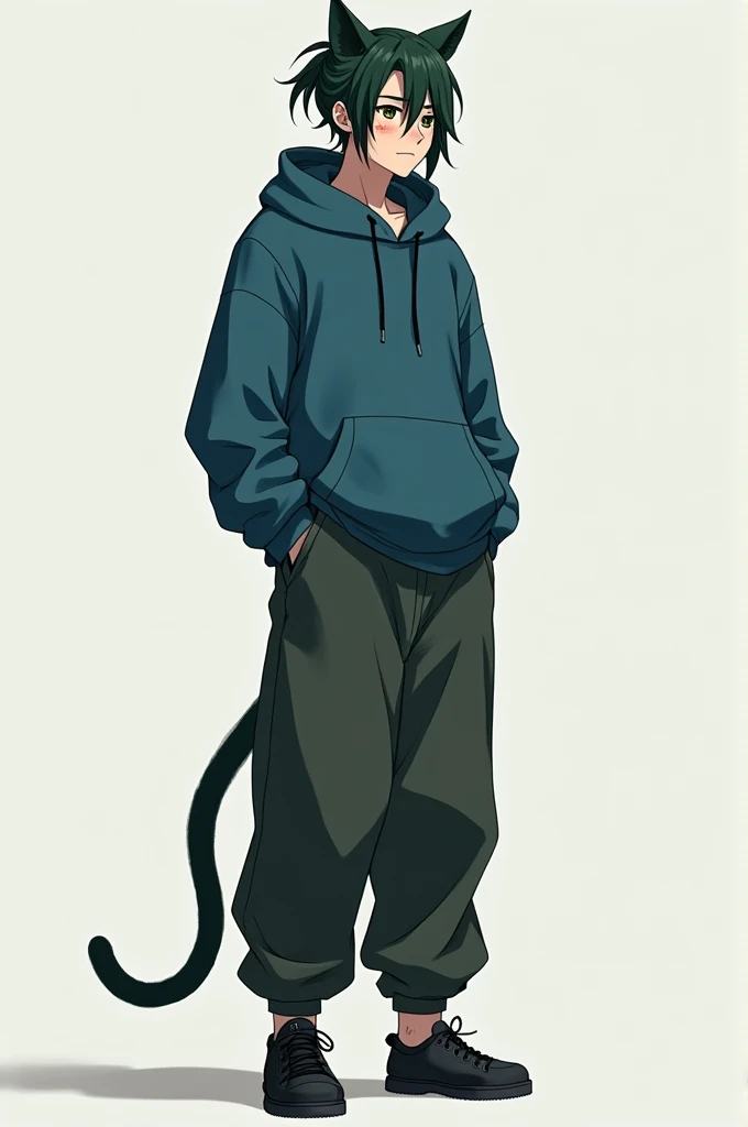 A 22 year old man, with dark green hair in a pony tail. His hair a little long, with a bit of scars on his left cheek and on his cheek. He wears a blue hoodie with dark green baggy pants, and dark shoes. He has a little tired face and a cat like feature. H...