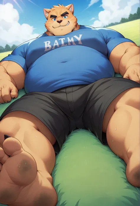 nj5furry, Cat, Lonely， beast field ，pummelig, thick arms，strong muscles，Shorts，Plush ，chubby face， black eyebrows，sky blue eyes，bart，Grin:1.1，lying on the grass,on the stomach, Vati, (From underneath:1.1)，lie down，（ shirt says  "Vati",Shorts），sunlight ,  s...