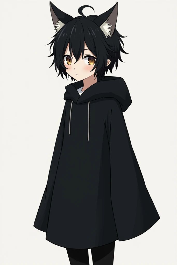 One of 1, 65 tall with short black and messy hair ,  cat ears just above the forehead 35 cm each .
2 tufts of hair on both cheeks ,  of clothing just a black cloak covering just below the hip and black tights covering just below the robe