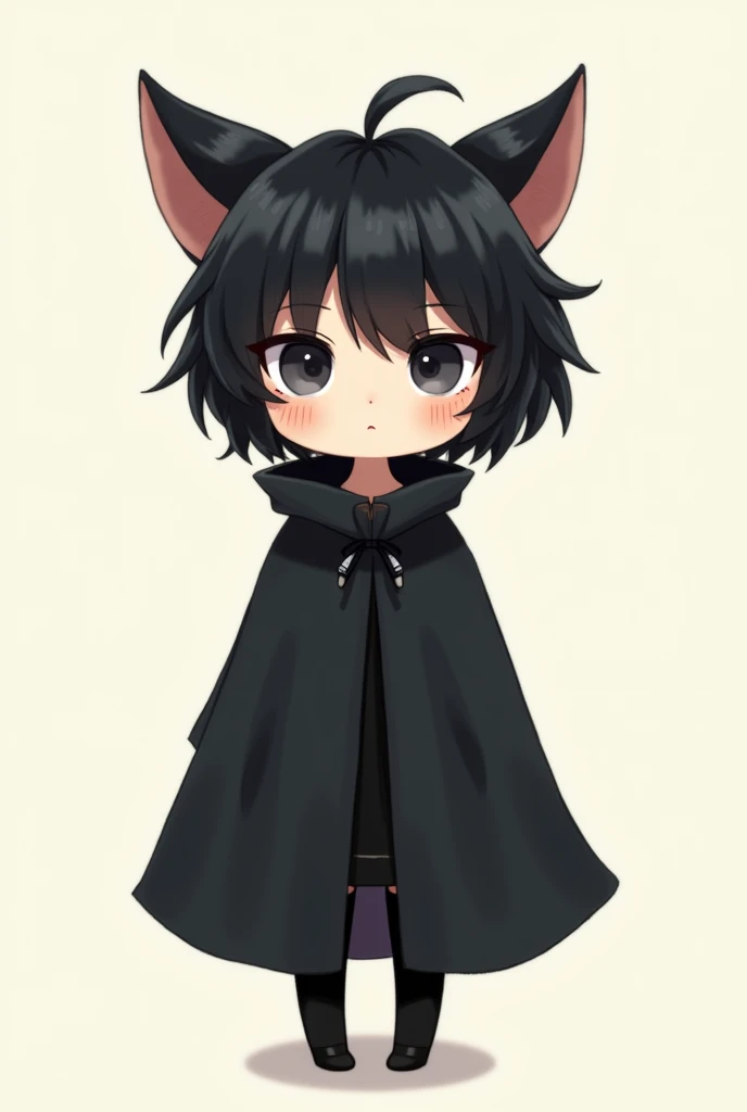 One of 1, 65 tall with short black and messy hair ,  cat ears just above the forehead 35 cm each .
2 tufts of hair on both cheeks , Of clothes just a sleeveless cloak just a black robe covering just below the hip and black tights covering just below the cl...