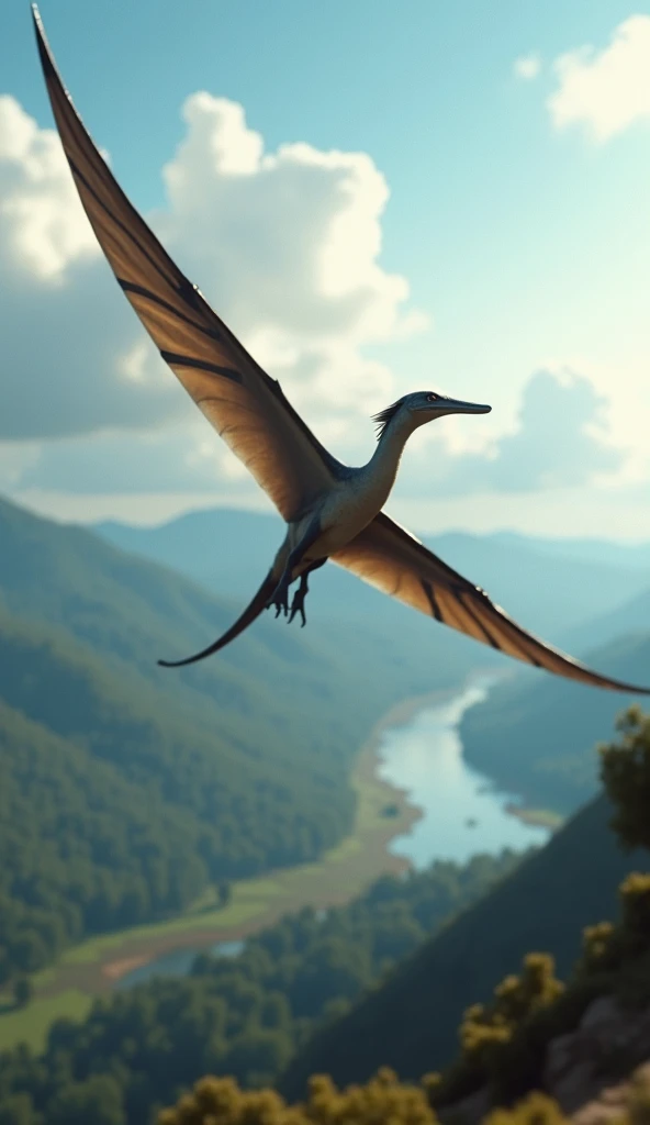  A hyperrealistic 8K video shows a pterosaur ,  specifically a Pteranodon ,  flying over a prehistoric landscape . Its huge wings ,  with a membrane that extends between the fingers ,  they shine subtly when they receive the rays of the sun that filter thr...