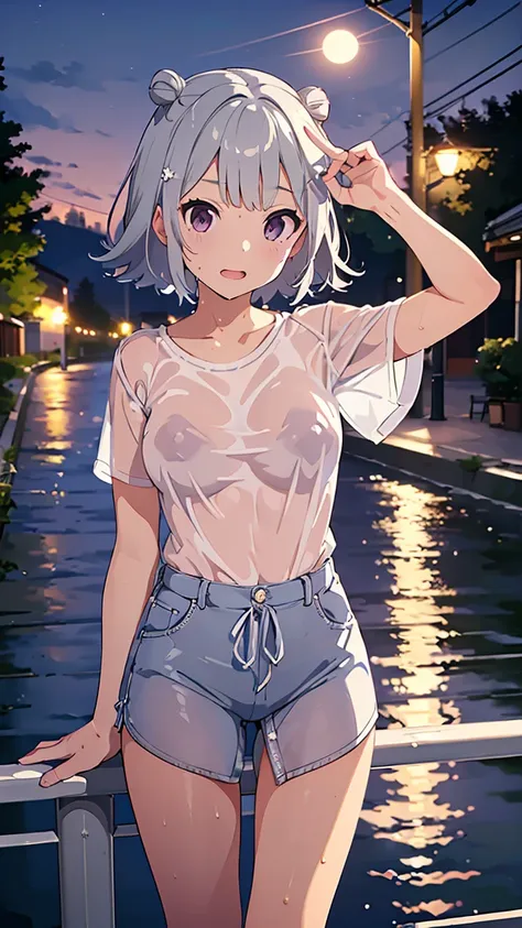 masterpiece,  best quality,  high definition ,  Very detailed,(((Koharu Rikka))), (((Standing in the city))), (((Street lamp))), (((night))), (((handrail))), (((river))), (((Wear a wet white shirt that you can see through))), (((full moon)))