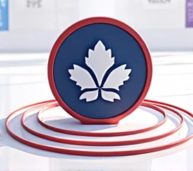  I would like this logo in the center of an ice rink , with bands on each side .  A real skating rink with banners at the top of the hockey team 