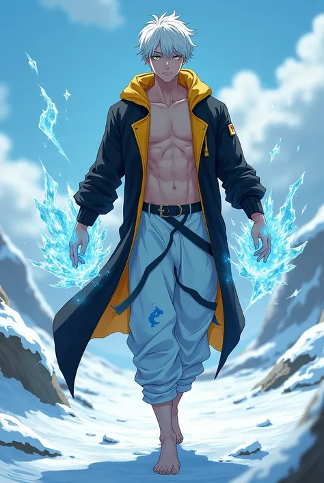 Short white hair along with a pale face with blue eyes of various colors mixed with yellow, white and dark blue for both eyes. Hands emit ice power. Shirtless and wearing a very long knee-length jacket with black mixed with a little yellow and sky blue wit...